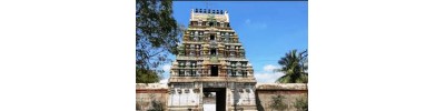 234. திருப்புறவார் பனங்காட்டூர்